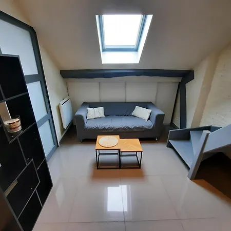 Апартаменты Le Jeannin - Apt 2 Prs, 1 Ch, Centre Historique *